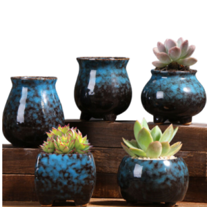 Indoor Plant Pottery | Set Of 5